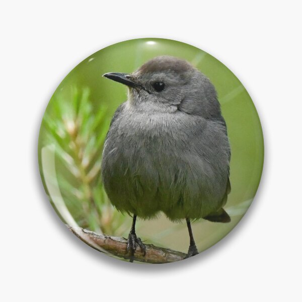 Item preview, In the Catbird Seat designed and sold by David3209.
