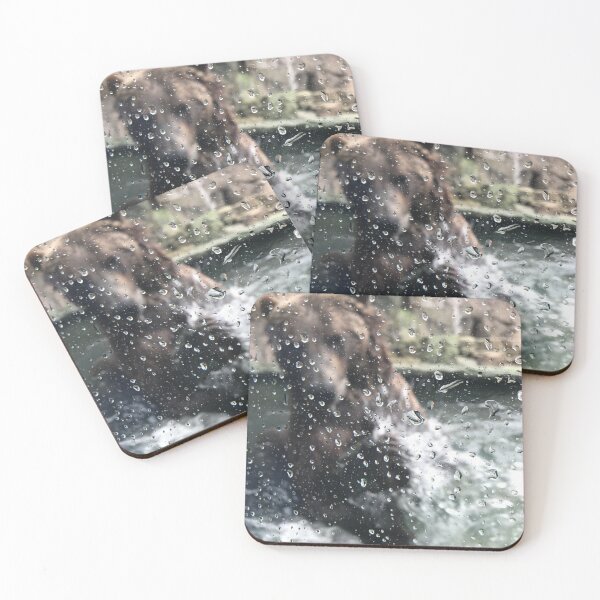 Item preview, Splish Splash designed and sold by ColibriDesigns.