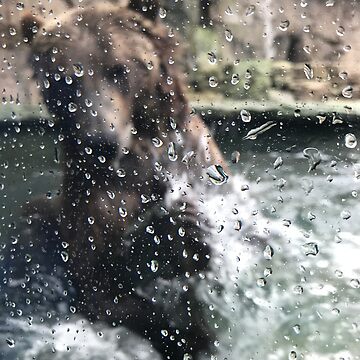 Artwork thumbnail, Splish Splash by ColibriDesigns