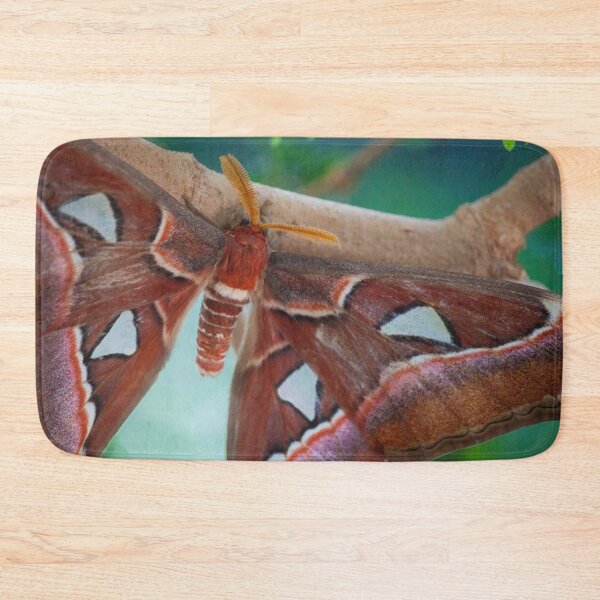 Item preview, Atlas Moth designed and sold by Jacquelie.