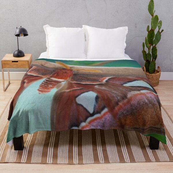 Item preview, Atlas Moth designed and sold by Jacquelie.