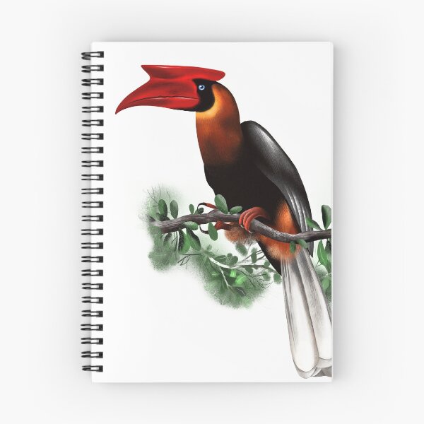 Item preview, The Philippine Hornbill designed and sold by papemelroti.