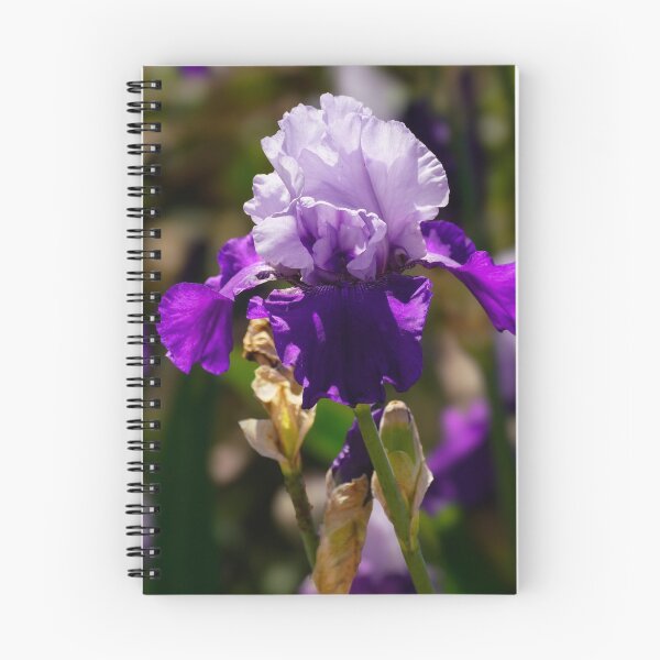 Item preview, A Purple Beauty in a Field of Blooming Iris designed and sold by MomentofPercep.