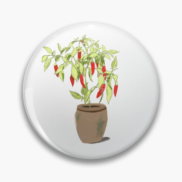 Item preview, Aji Chili Pepper Plant designed and sold by sistereuay.