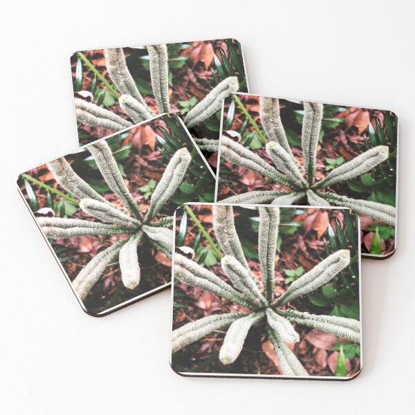 Item preview, New Palm designed and sold by Slydell1.