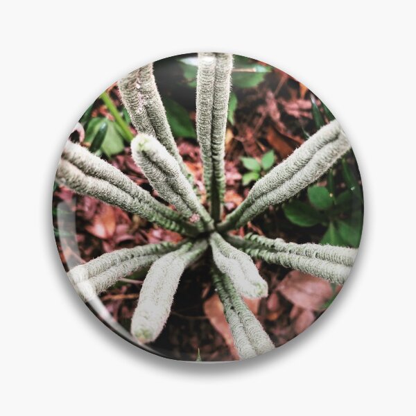 Item preview, New Palm designed and sold by Slydell1.