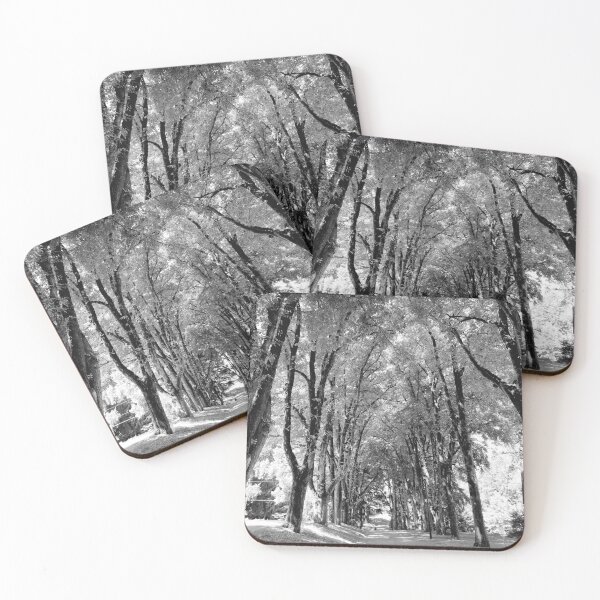 Item preview, Black and White Elm Lined Street, Jenkins Estate, Oregon designed and sold by Darlirra.