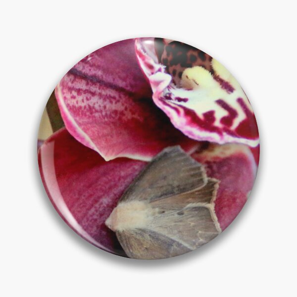 Artikelvorschau, Merkwürdig, nicht eine Motten-Orchidee entworfen und verkauft von Michael May.