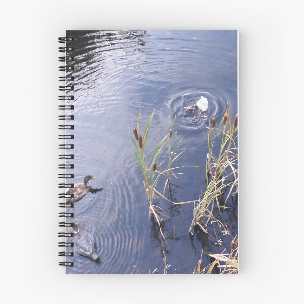 Item preview, Patos designed and sold by Lyn Walker.