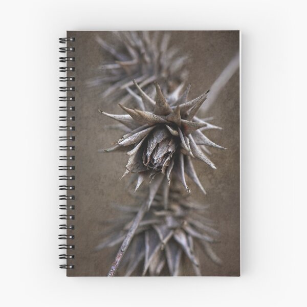 Item preview, Upper Kalgan River Bridge area _ #05 designed and sold by Malcolm Heberle.