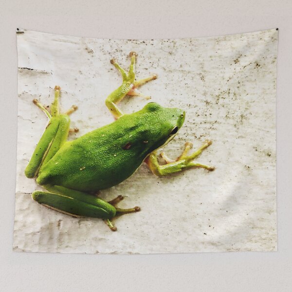 Item preview, Tree Frog designed and sold by Slydell1.