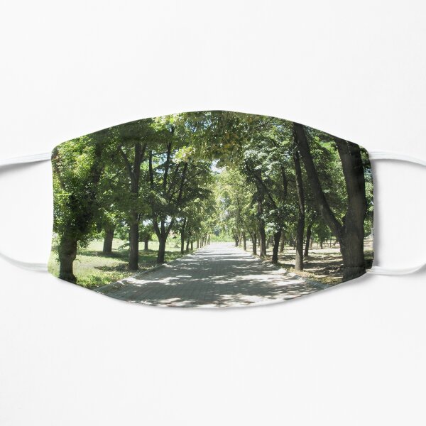 Have a relaxing walk through the trees Flat Mask