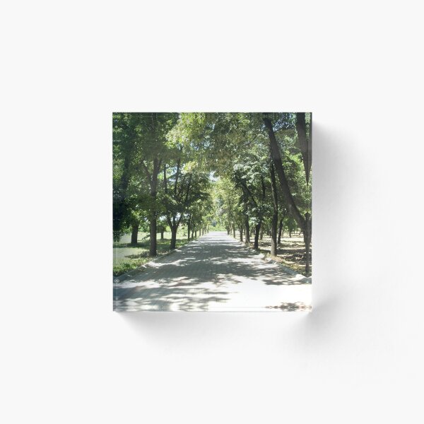 Have a relaxing walk through the trees Acrylic Block