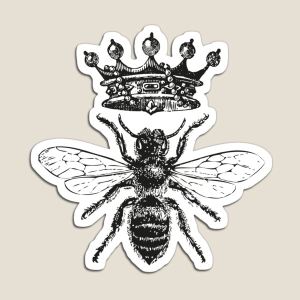 Queen Bee | Vintage Honey Bees | Black and White | Magnet