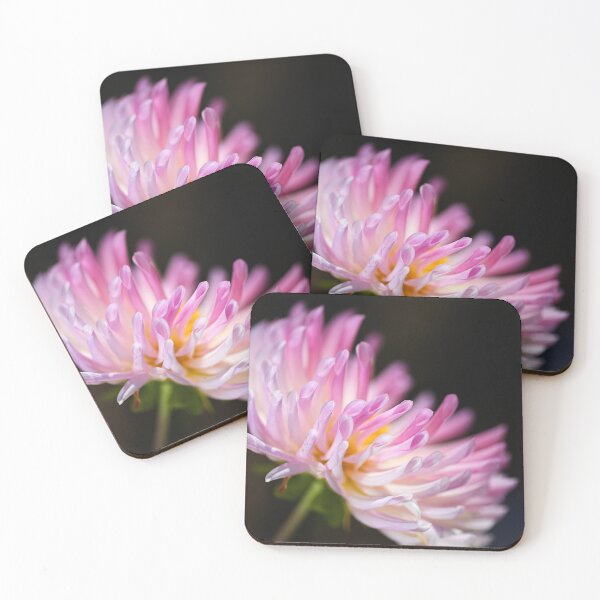 Item preview, Dahlia Blushing Pink designed and sold by Joy Watson - Natural Light Photography .