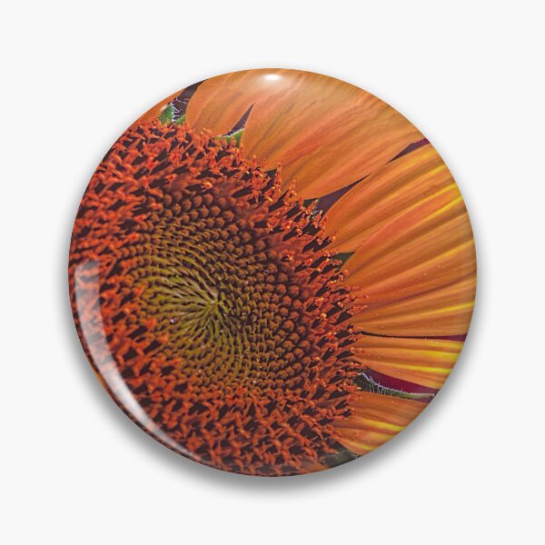 Item preview, On a Golden Day, Sunflower in Norman Oklahoma designed and sold by JohnDSmith.