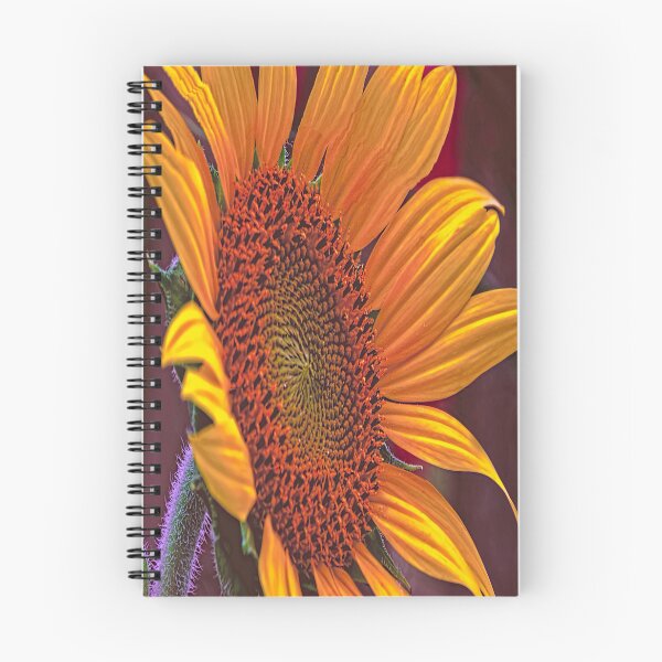 Item preview, On a Golden Day, Sunflower in Norman Oklahoma designed and sold by JohnDSmith.