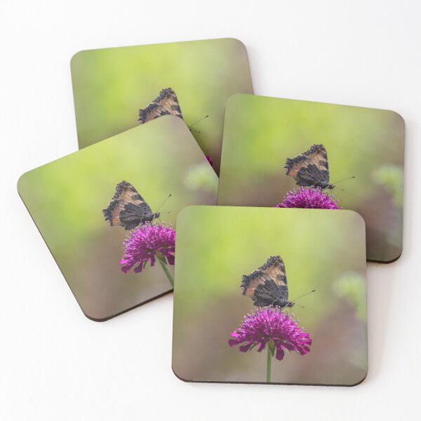 Item preview, Small Tortoiseshell on Knautia Macedonica Flower designed and sold by MargaretClavell.