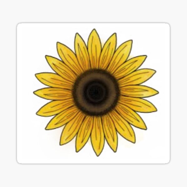 sunflower Sticker