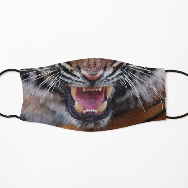ROAR! Kids Mask