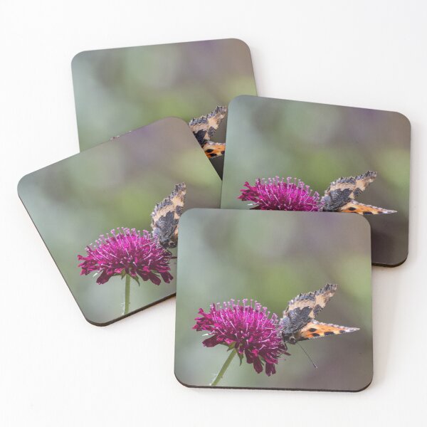Item preview, Small Tortoiseshell Butterfly on Knautia Macedonica Flower designed and sold by MargaretClavell.