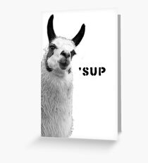 Cool Llama is Cool Greeting Card