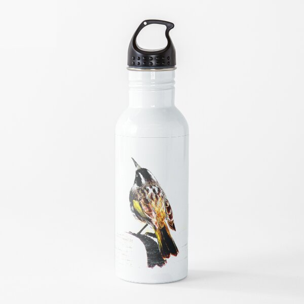 New Holland Honeyeater Bird, Bird Art, Bird Graphic Water Bottle