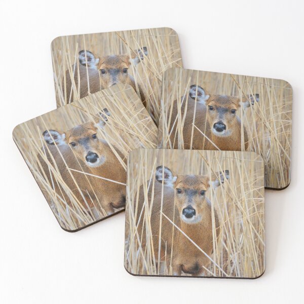 Item preview, A Beautiful Whitetail Deer  designed and sold by floofpictures.