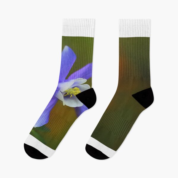 Item preview, Aquilegia designed and sold by clint hudson.