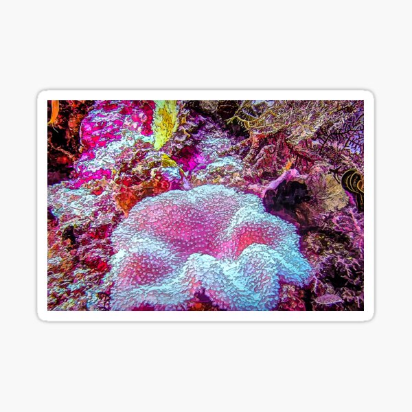 Soft Coral Feeding In Pink - Mixed Media DiveArt Sticker