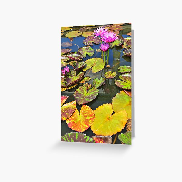 Item preview, Water lilies designed and sold by Ulo Pukk.