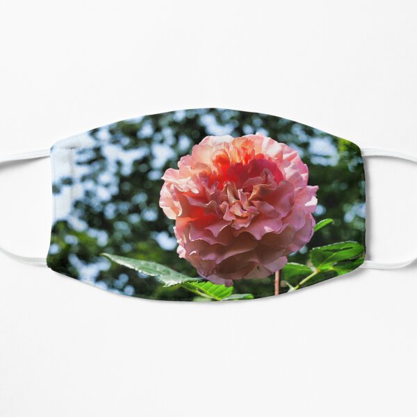Pink Rose with bokeh Mask