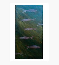Aqua wildlife Photographic Print