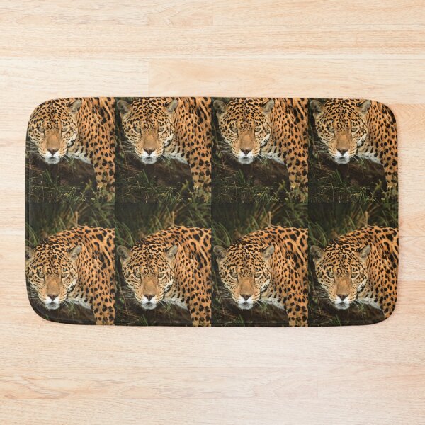 Item preview, Fierce Jaguar Looking at you.  designed and sold by Steven Holt.