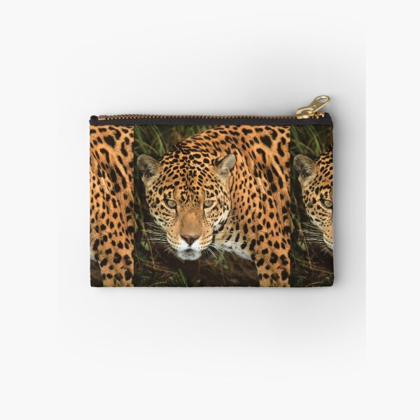 Item preview, Fierce Jaguar Looking at you.  designed and sold by Steven Holt.