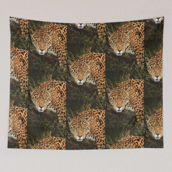 Item preview, Fierce Jaguar Looking at you.  designed and sold by Steven Holt.