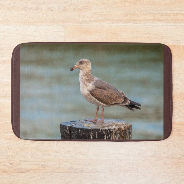 Item preview, Western Gull designed and sold by jvnimages.