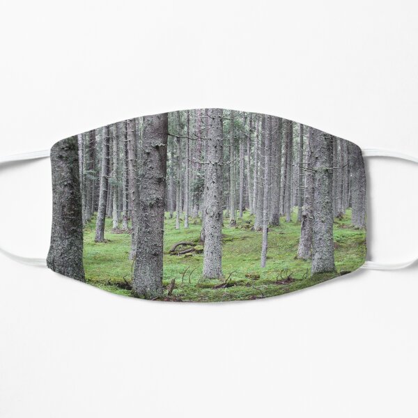 Silent pine tree forest with secular trees, deep in nature Mask