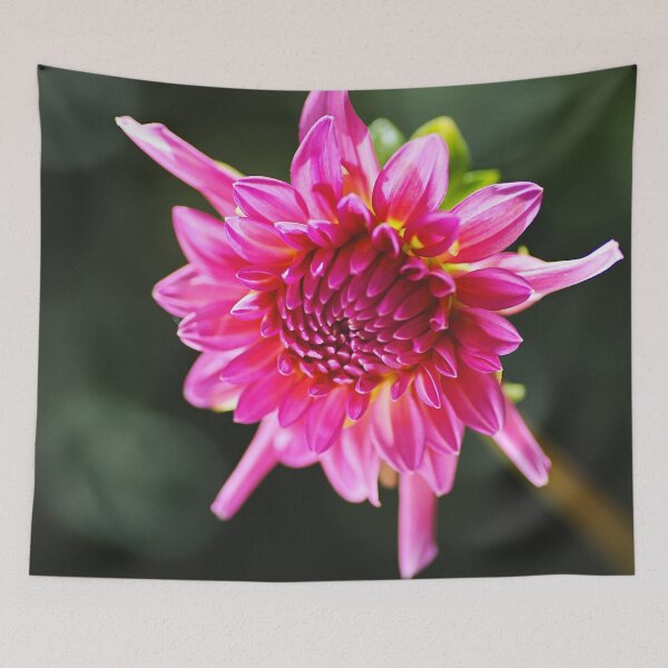 Item preview, Hot Dahlia Eye designed and sold by Joy Watson - Natural Light Photography .