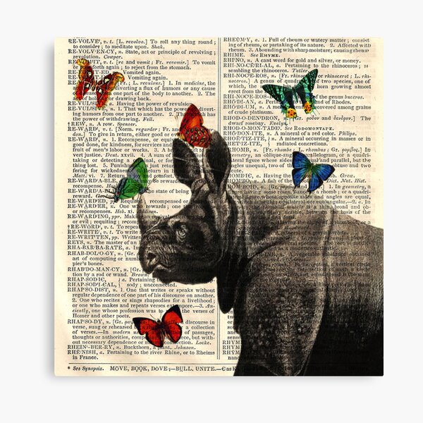 Antique Dictionary Rhinoceros Butterfly Print Canvas Print