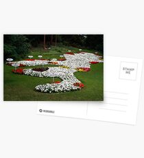 Insel Mainau - Bodensee flower Postcards