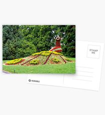 Insel Mainau - peacock Postcards