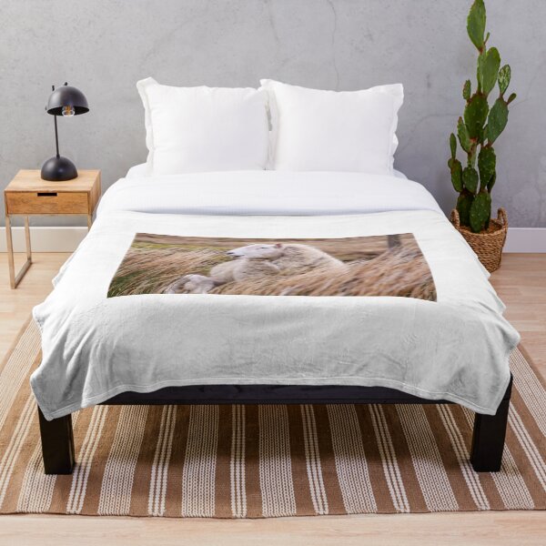 Sheep in tall grass in Ireland countryside Throw Blanket