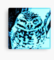Ice Owl Canvas Print