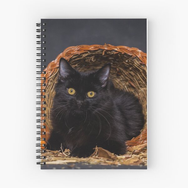 Artikelvorschau, Fall-Porträt - schwarze Katze in einem Füllhorn - Tierrettungsporträts entworfen und verkauft von AndreaBorden.