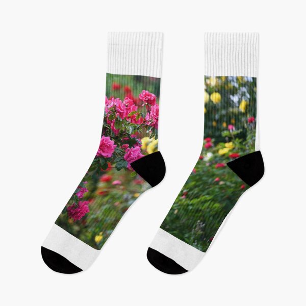 Item preview, garden with roses in springtime nature background designed and sold by goceris.