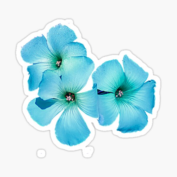 TURQUOISE FLOWER POWER Sticker