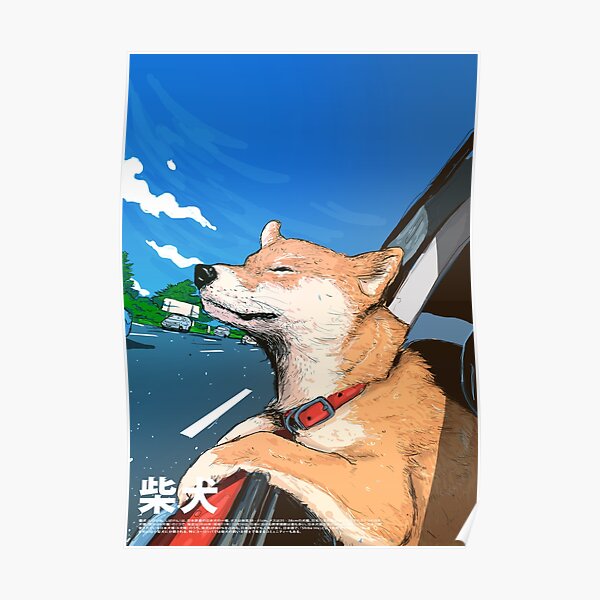 Shiba Inu in Car Poster