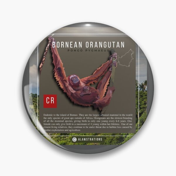 Item preview, Bornean Orangutan ( Pongo pygmaeus) designed and sold by Alawstrations.