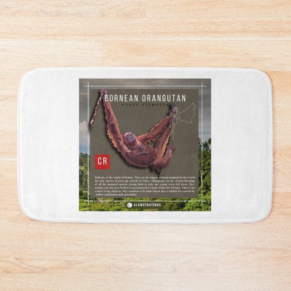 Item preview, Bornean Orangutan ( Pongo pygmaeus) designed and sold by Alawstrations.